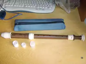 Flute à bec - Yamaha en résine ABS