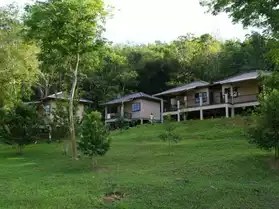bungalows dans jardin tropical