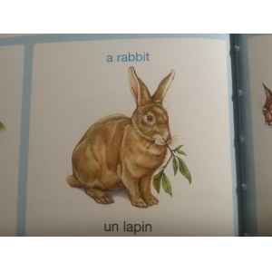 Etudiant éxpérimenté garde vos animeaux