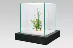 Aquarium Bambou+ nourriture