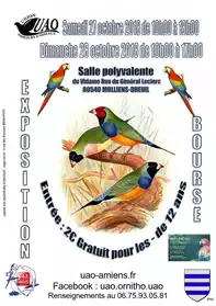 Petites annonces gratuites 80 Somme - Marche.fr