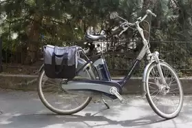 Vélo électrique : Gazelle EasyGlider