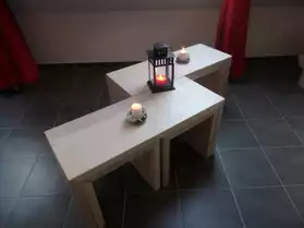 Table basse bois massif unique