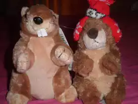 peluches marmottes