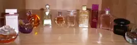Miniatures de parfums pour collection
