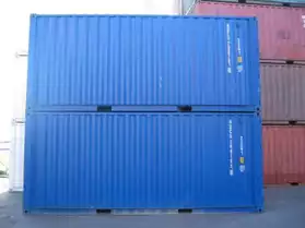 Containers maritimes Neuf 20'