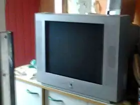 television 55cm