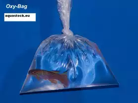 25 breathing bags OXYBAG 8cmx30cm