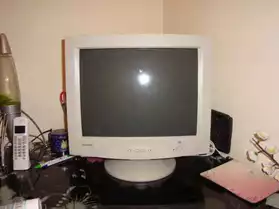 Ecran d'ordinateur