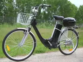 Vélo électronique 250