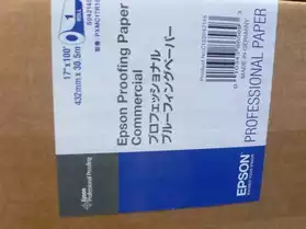 C13S042145 Papier Proofing Epson