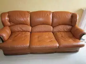 Canapé et 2 fauteuil couleur marron