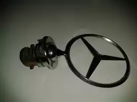 Insigne Mercedes