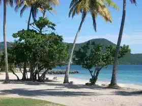 Martinique Ste Luce F2 plage à 5 mn !