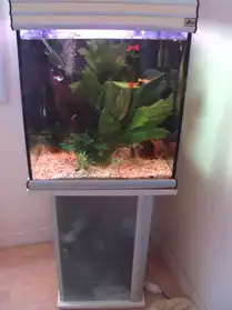 Aquarium 150 litres