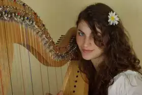 cours de harpe celtique, troubadour
