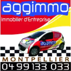 local commercial 250 m2 Montpellier 1ere