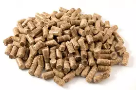 Fuel pellets and briquettes