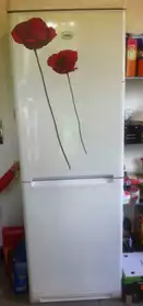 combiné frigo congelo