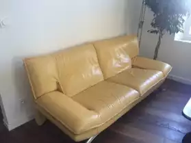 Urgent - Canapé cuir + divan
