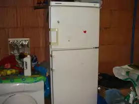 réfrigerateur blanc marque liebherr