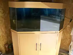 aquarium d'angle
