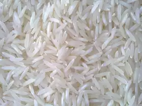 Nous cherchons un bon fournisseur de riz