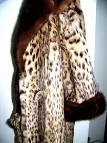 chat sauvage et vison vrai manteau d'épo