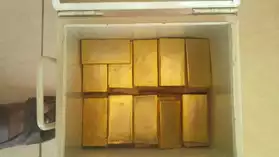Vente de pépite d'or