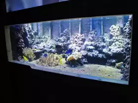 aquarium 2400L eau mer/ douce/vivier