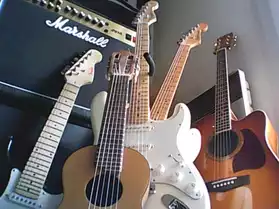 Cours de guitare à votre domicile (74)