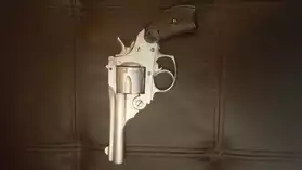 Revolver type smith wesson