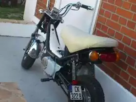 moto : chappy