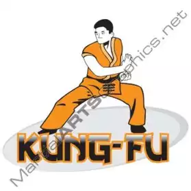 Club de Kung-fu recherche pratiquant
