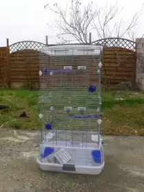 cage oiseaux + nourriture