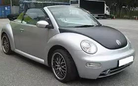 Volkswagen Beetle 2.0 2003, 120000