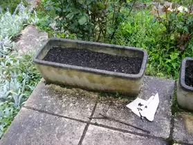 13 jardinières en pierre