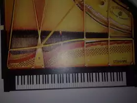 Donne Cours de Piano et Solfège