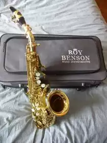 Saxophone soprano d'étude Roy Benson ver