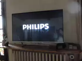 tv philips lcd ecran plat 107vm