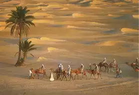 Séjours au Sahara !