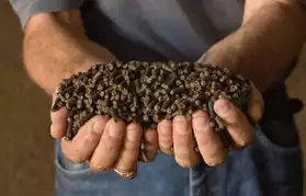 Organic fertilizer pellets