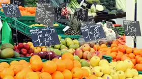 Cède entreprise de fruits et légumes