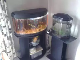aquarium+meuble+poisson