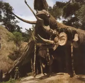 marabout voyant africain