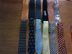 lot de 12 cravates