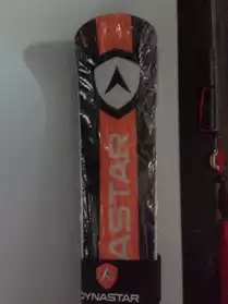 Skis "Dynastar Speed WC Master R21 WC"