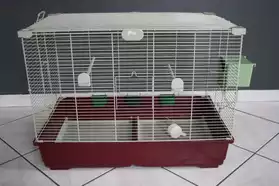 superbe cage a oiseaux