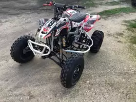 Can am 450 xmx