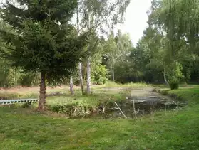 terrain avec étang et chalet